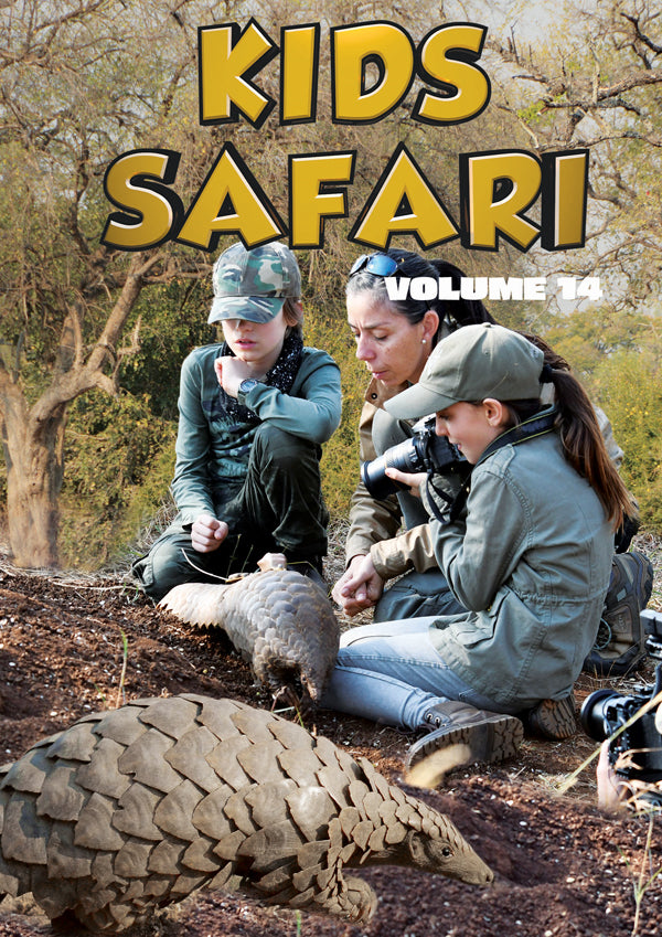 Feature Film - Kids Safari: Volume Fourteen - Film/TV/Character - DVD