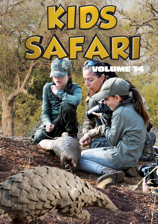 Feature Film - Kids Safari: Volume Fourteen - Film/TV/Character - DVD