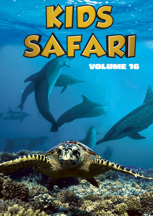 Feature Film - Kids Safari: Volume Sixteen - Film/TV/Character - DVD
