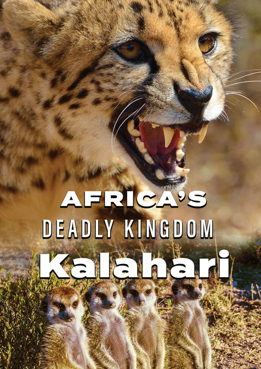 Feature Film - Africa'S Deadly Kingdom: Kalahari - Film/TV/Character - DVD