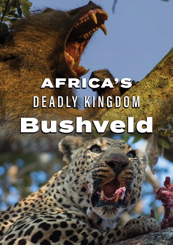Feature Film - Africa'S Deadly Kingdom: Bushveld - Film/TV/Character - DVD