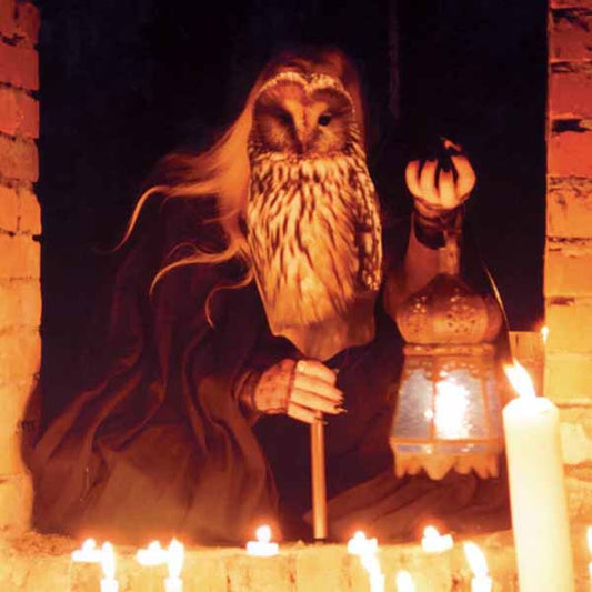 Spite Extreme Wing - Magnificat - Black Metal - DCD