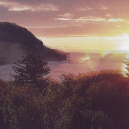 Ocean Party - Beauty Point - Indie - LP