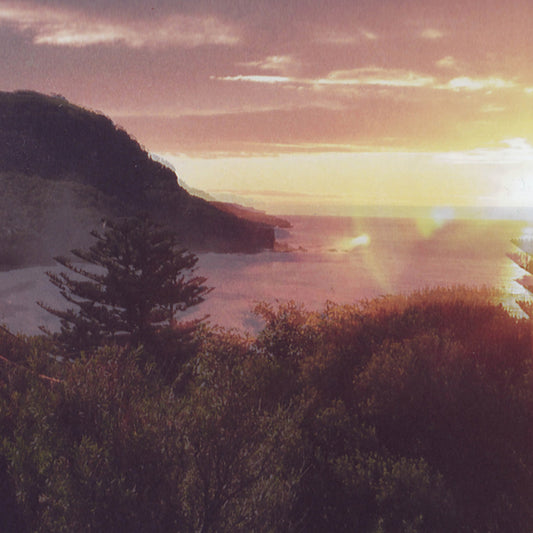 Ocean Party - Beauty Point - Indie - LP