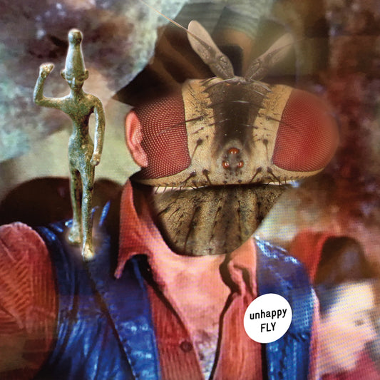 Unhappy Fly - Unhappy Fly - Pop - LP