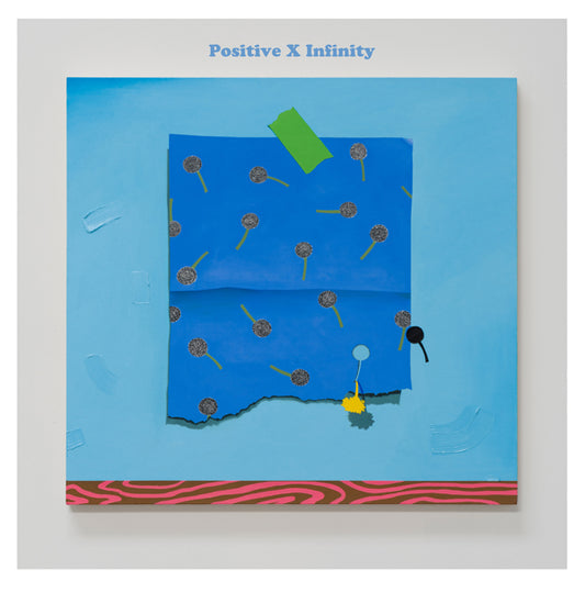 Various Artists - Positive Times Infinity - Punk - LP