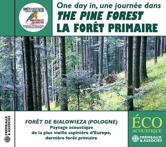 Une Journee Dans La Foret De Sapins - The Pine Forest - Rock/Pop - CD