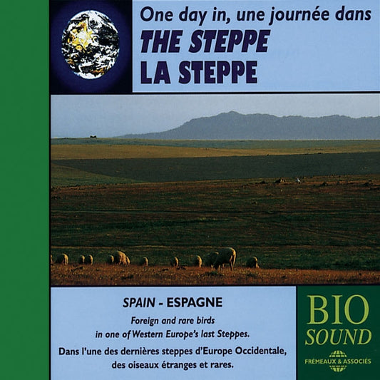 Une Journee Dans La Steppe - The Steppe - Rock/Pop - CD
