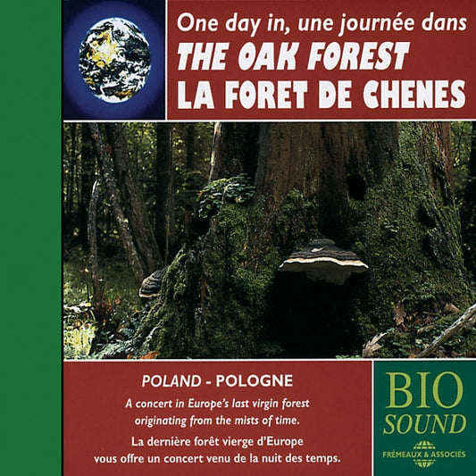 Une Journee Dans La Foret De Chenes - The Oak Forest - Rock/Pop - CD