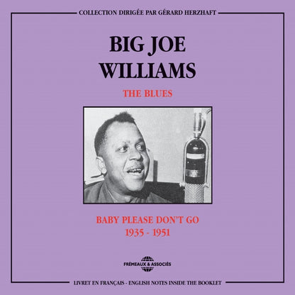 Big Joe Williams - The Blues : Baby Please Don'T Go 1935-1951 - Rock/Pop - DCD