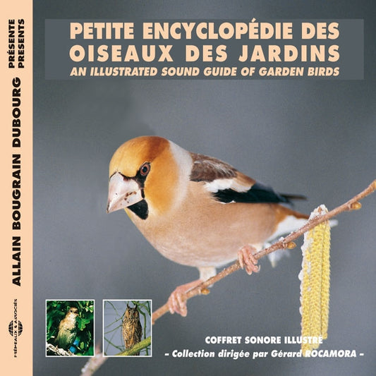 Petite Encyclopedie Des Oiseaux Des Jardins - An Illustrated Sound Guide Of Garden Birds - Rock/Pop - DCD