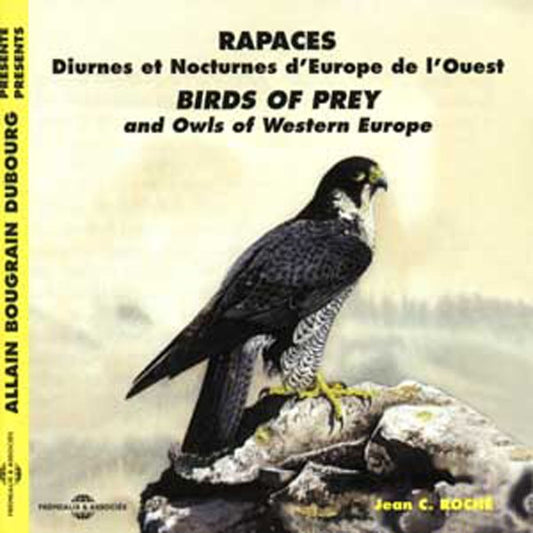 Rapaces Diurnes Et Nocturnes - Rapaces Diurnes Et Nocturnes - Rock/Pop - CD