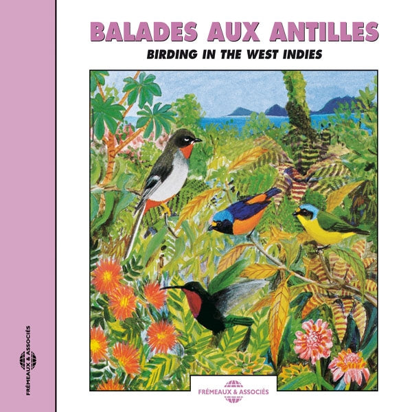 Balade Aux Antilles - Birding In The West Indies - Rock/Pop - CD