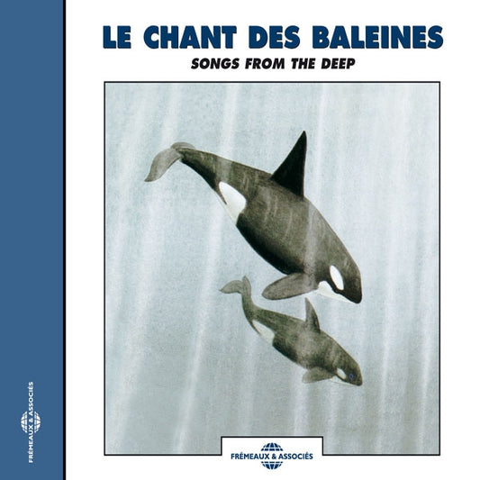 Le Chant Des Baleines - Whales Recordings / Songs From The Deep - Rock/Pop - CD