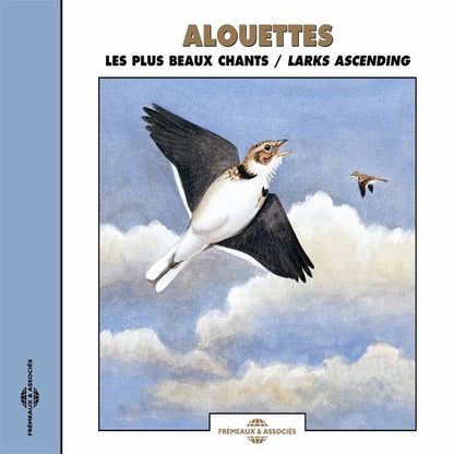 Alouettes - Les Plus Beaux Chants - Larks Ascending - Rock/Pop - Music CD