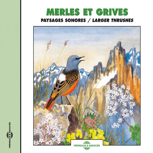 Merles Et Grives - Paysages Sonores - Larger Thrushes - Rock/Pop - CD