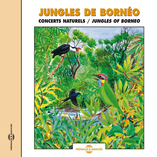 Jungles De Borneo - Concerts Naturels - Jungles Of Borneo - Rock/Pop - CD