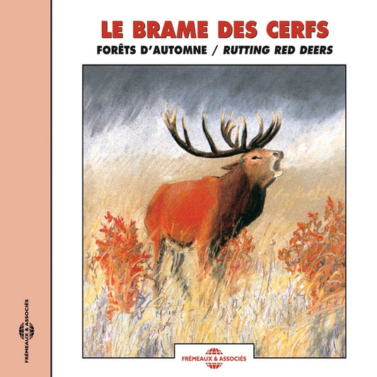 Le Brame Des Cerfs - Forêts D'Automne - Rutting Red Deers - Rock/Pop - CD