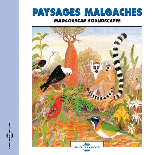 Paysages Malgaches - Madagascar Soundscapes - Rock/Pop - CD