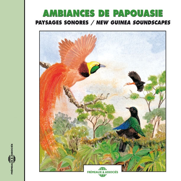 Ambiances Sonores De Papouasie - New Guinea Soundscapes - Rock/Pop - CD