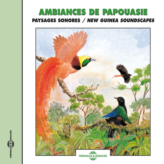 Ambiances Sonores De Papouasie - New Guinea Soundscapes - Rock/Pop - CD