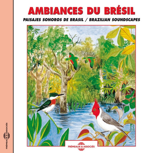 Ambiances Du Bresil - Paysages Sonores - Brazilian Soundscapes - Rock/Pop - CD