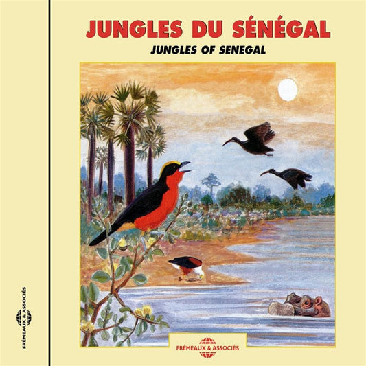 Jungles Du Senegal - Jungles Of Senegal - Rock/Pop - CD
