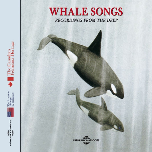 Sons De La Nature - Whale Songs - Recordings From The Deep - Rock/Pop - CD