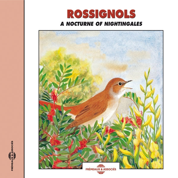 Rossignols - A Nocturne Of Nightingales - Rock/Pop - CD