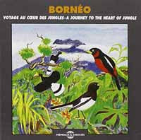 Borneo - Voyage Au Cur Des Jungles - Borneo - A Journey To The Heart Of Jungle - Rock/Pop - CD