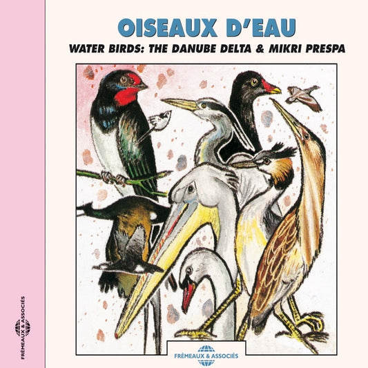 Oiseaux D'Eau - Le Concert Des Oiseaux - Rock/Pop - CD