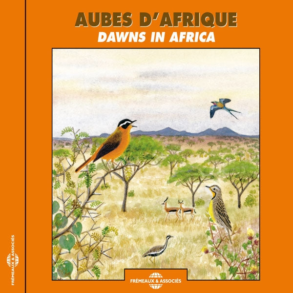 Aubes D'Afrique (Afrique Du Sud, Senegal, Kenya, Cameroun) - Dawns In Africa - Rock/Pop - CD