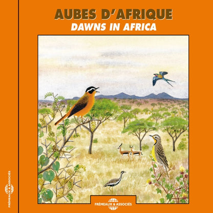 Aubes D'Afrique (Afrique Du Sud, Senegal, Kenya, Cameroun) - Dawns In Africa - Rock/Pop - CD