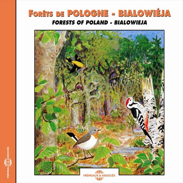 Forêts De Pologne - Bialowieja - Forests Of Poland - Bialowieja - Rock/Pop - CD
