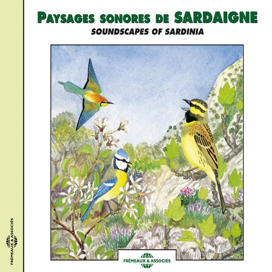 Paysages Sonores De Sardaigne - Soundscapes Of Sardinia - Rock/Pop - CD