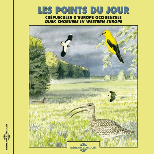 Les Points Du Jour - Crépuscules DEurope Occidentale - Dusk Choruses In Western Europe - Rock/Pop - CD