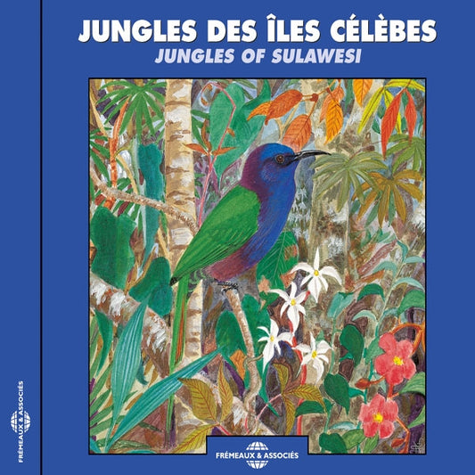 Jungles Des Îles Célèbes - Jungles Of Sulawesi - Rock/Pop - CD