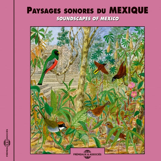 Soundscapes Of Mexico - Paysages Sonores Du Mexique - Rock/Pop - CD