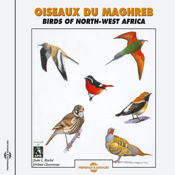 Birds Of North-West Africa - Oiseaux Du Maghreb - Rock/Pop - CD
