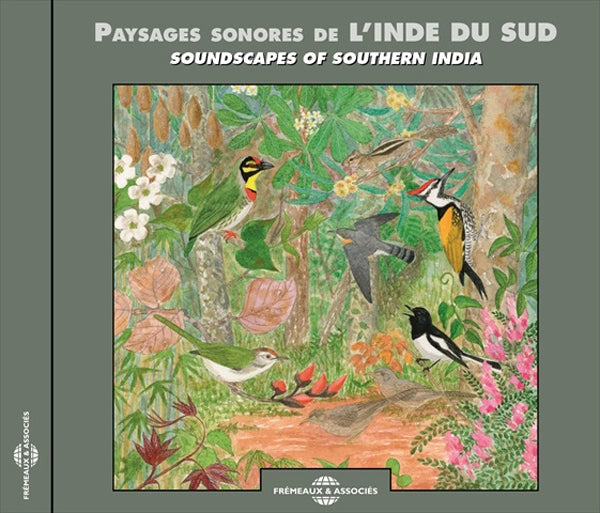 Bernard Fort - Paysages Sonores De LInde Du Sud - Rock/Pop - CD
