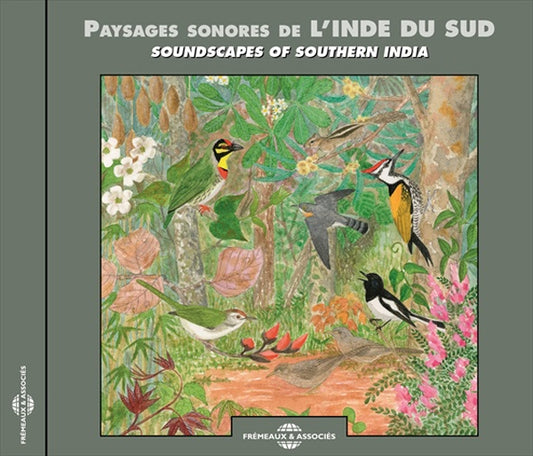 Bernard Fort - Paysages Sonores De LInde Du Sud - Rock/Pop - CD