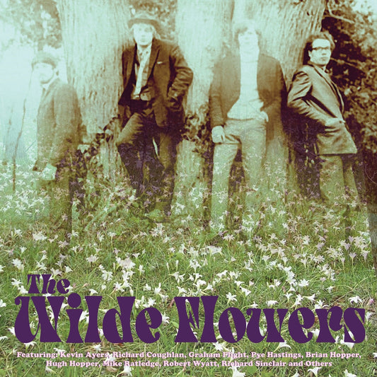 Wilde Flowers, The - The Wilde Flowers - Rock/Pop - DCD