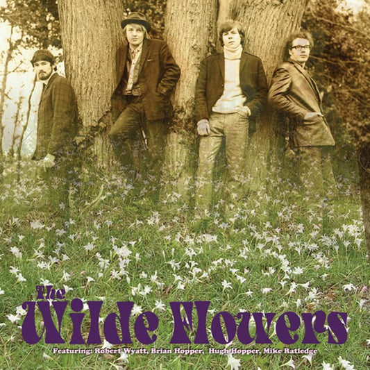Wilde Flowers, The - The Wilde Flowers (Clear Yellow Vinyl) - Rock/Pop - LP