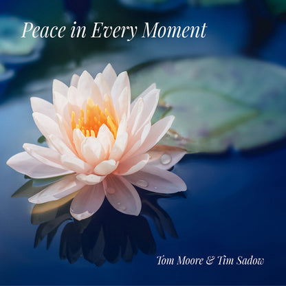 Tom Moore & Tim Sadow - Peace In Every Moment - Rock/Pop - CD