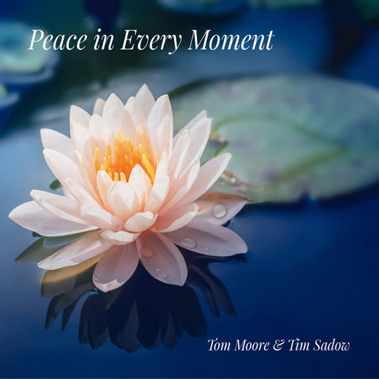 Tom Moore & Tim Sadow - Peace In Every Moment - Rock/Pop - CD