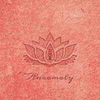Anaamaly - Urban Metta Vol 2 - Electronic - CD