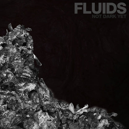 Fluids - Not Dark Yet - Death Metal - CD