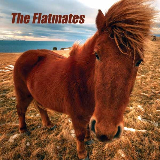 Flatmates - The Flatmates - Indie - LP