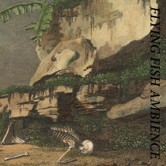 Rainforest Spiritual Enslavement - Flying Fish Ambience - Electronic - CDD
