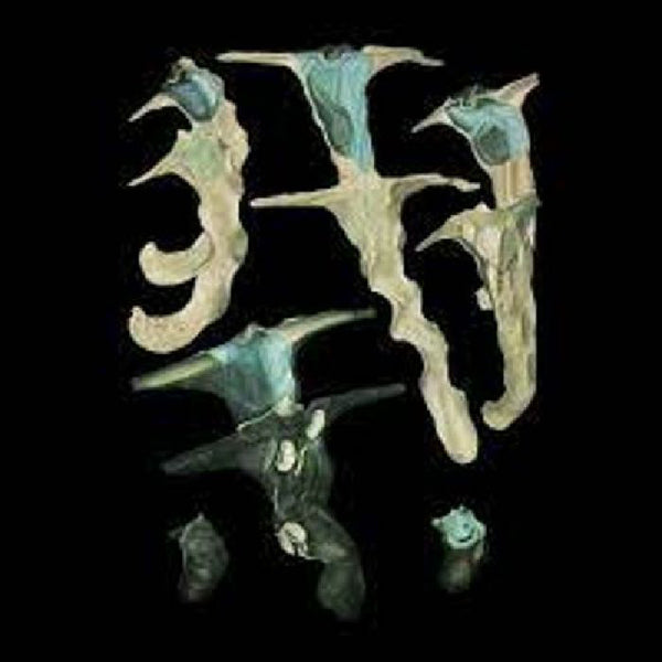 Rainforest Spiritual Enslavement - Jellyfish Reproduce Black Magic - Electronic - EP